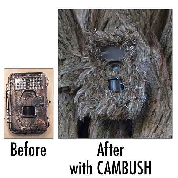 Browning Trail Cameras Australia