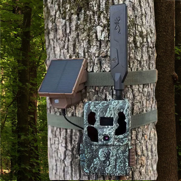 Trail camera attached to a tree with a solar panel on a forest background