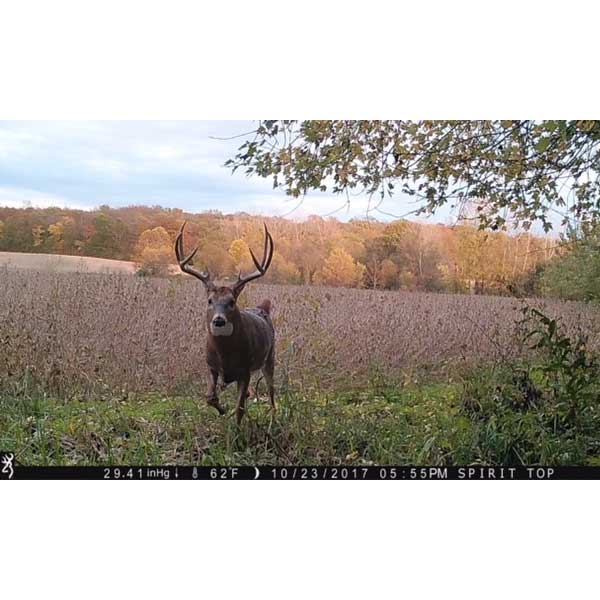 Browning Trail Cameras Australia