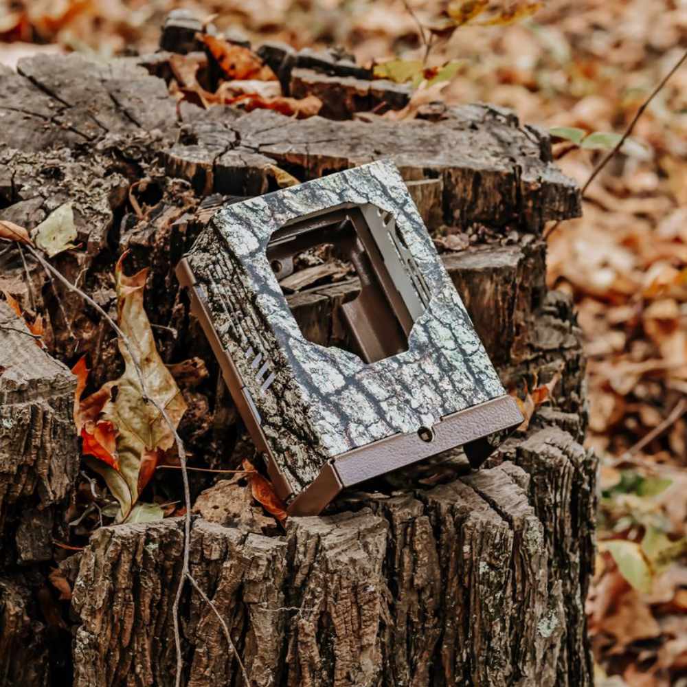 Camouflage browning trail camera on a wooden stump with leaves in the background