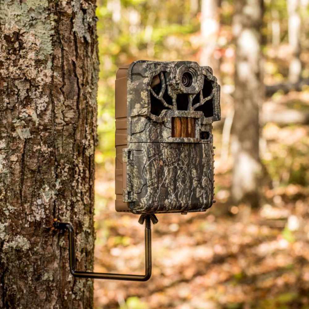 Camouflage browning trail camera  attached to a tree in a bush setting.