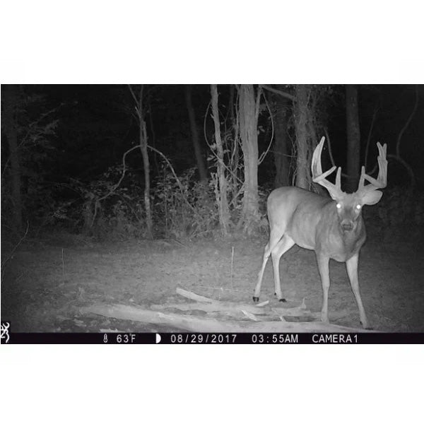 Browning Trail Cameras Australia